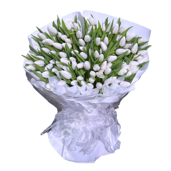 300 White Tulips