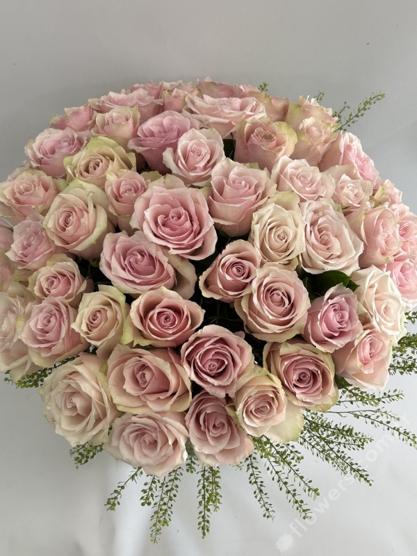 Grand Light Pink Roses