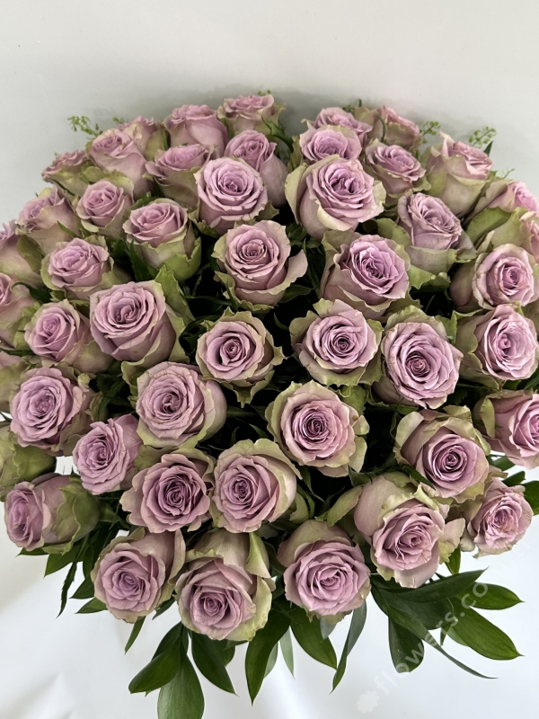 Grand Lilac Roses