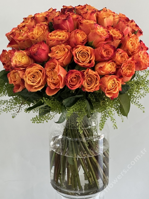 Grand Orange Rose