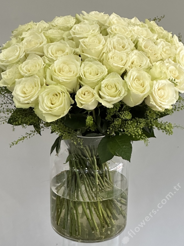 Grand White Roses