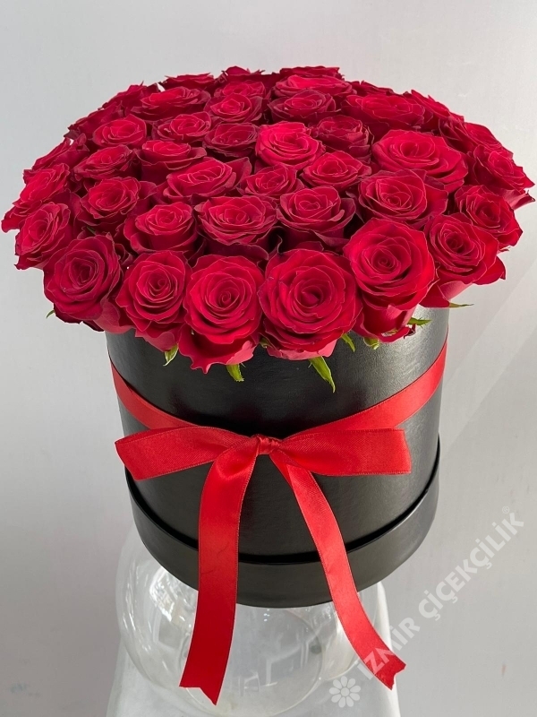 Perfect Red Roses In Box