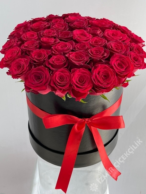 Perfect Red Roses In Box