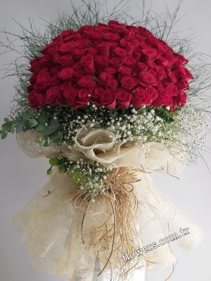 Grand Romance 101 Red Rose