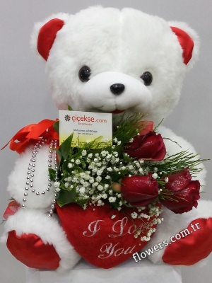 Teddy Bear and Red Roses