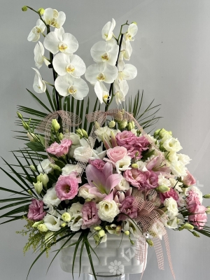 Deluxe Orchid Arrangement