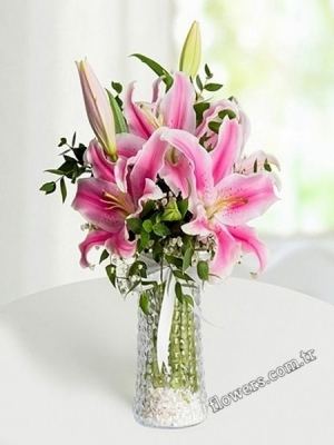 Pink Lilies In Vase